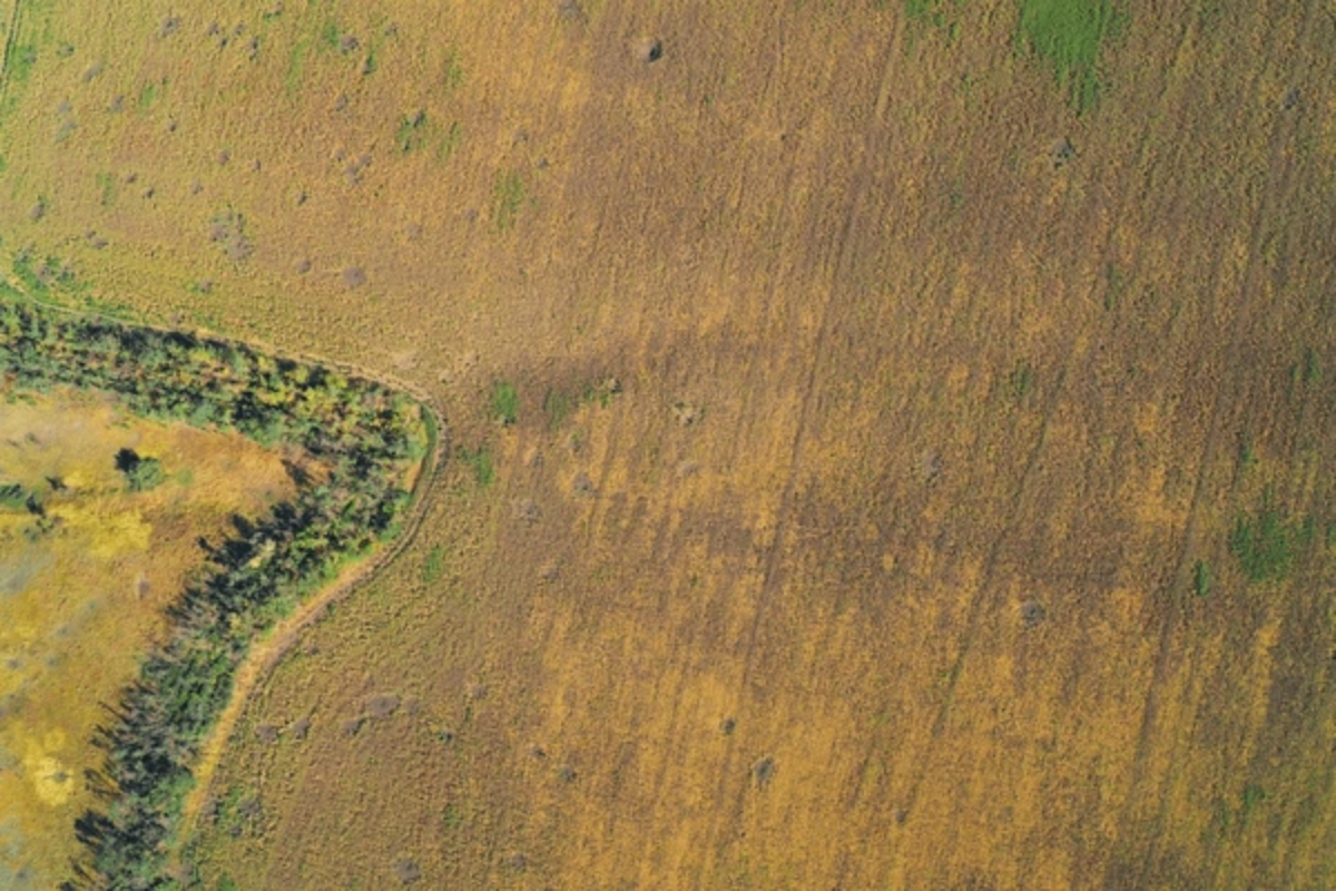 1,700 Hectáreas SAAQ